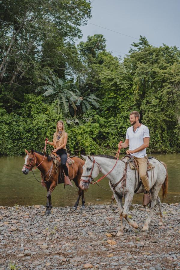 Вилла Bohemia Experience Playa Santa Teresa  Экстерьер фото